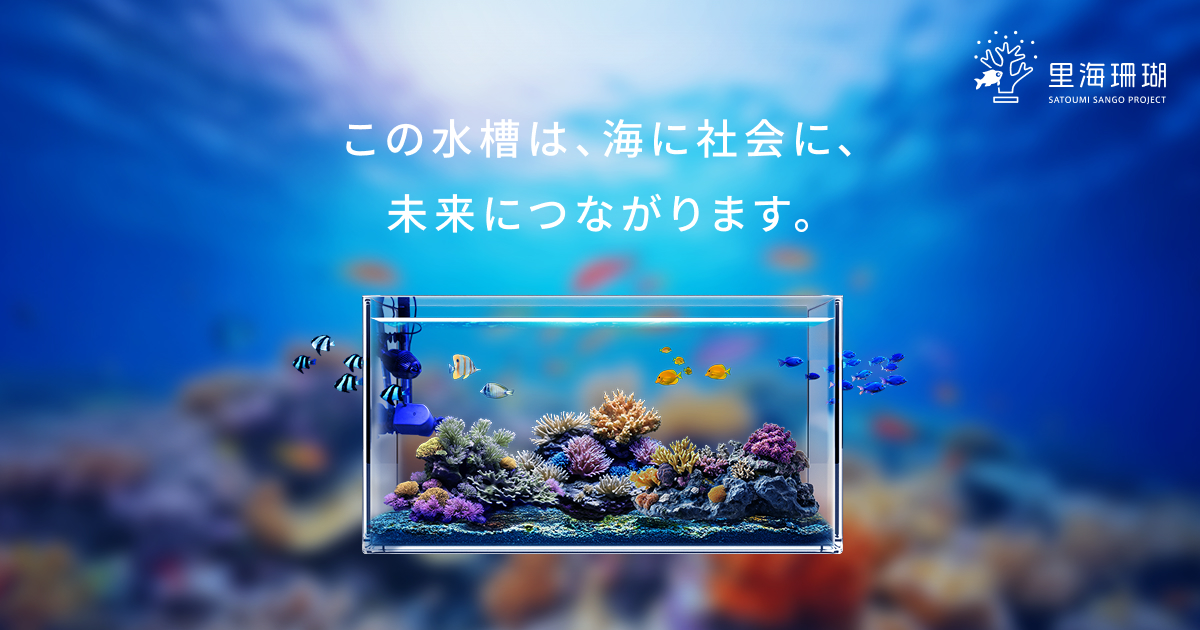 里海珊瑚プロジェクト｜私たちについて