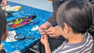 『2026 沖縄セルラー感謝祭』にてサンゴの苗づくり体験ブースを出展 