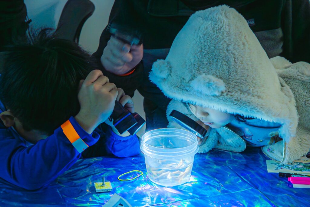 生きたサンゴを観察する子どもたちの様子